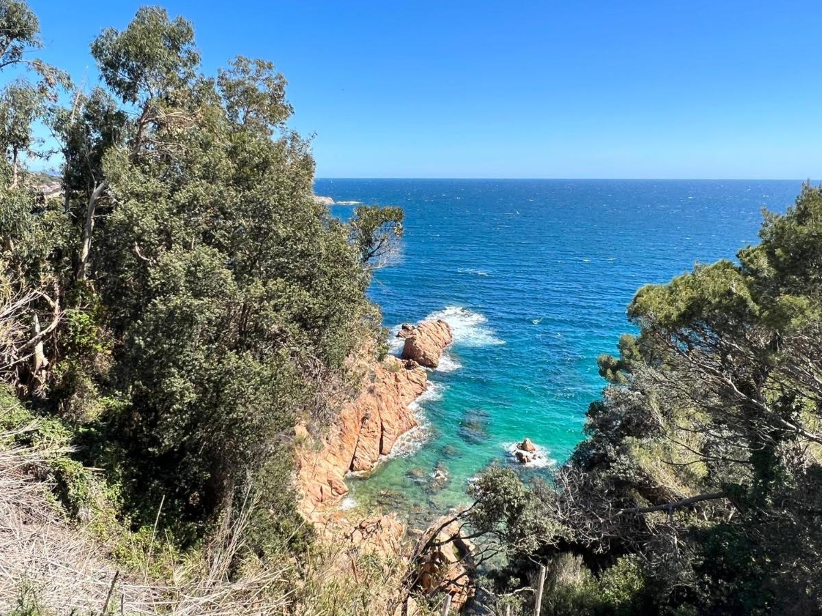 Family B&B Homefromhomees Sant Feliu de Guixols Εξωτερικό φωτογραφία
