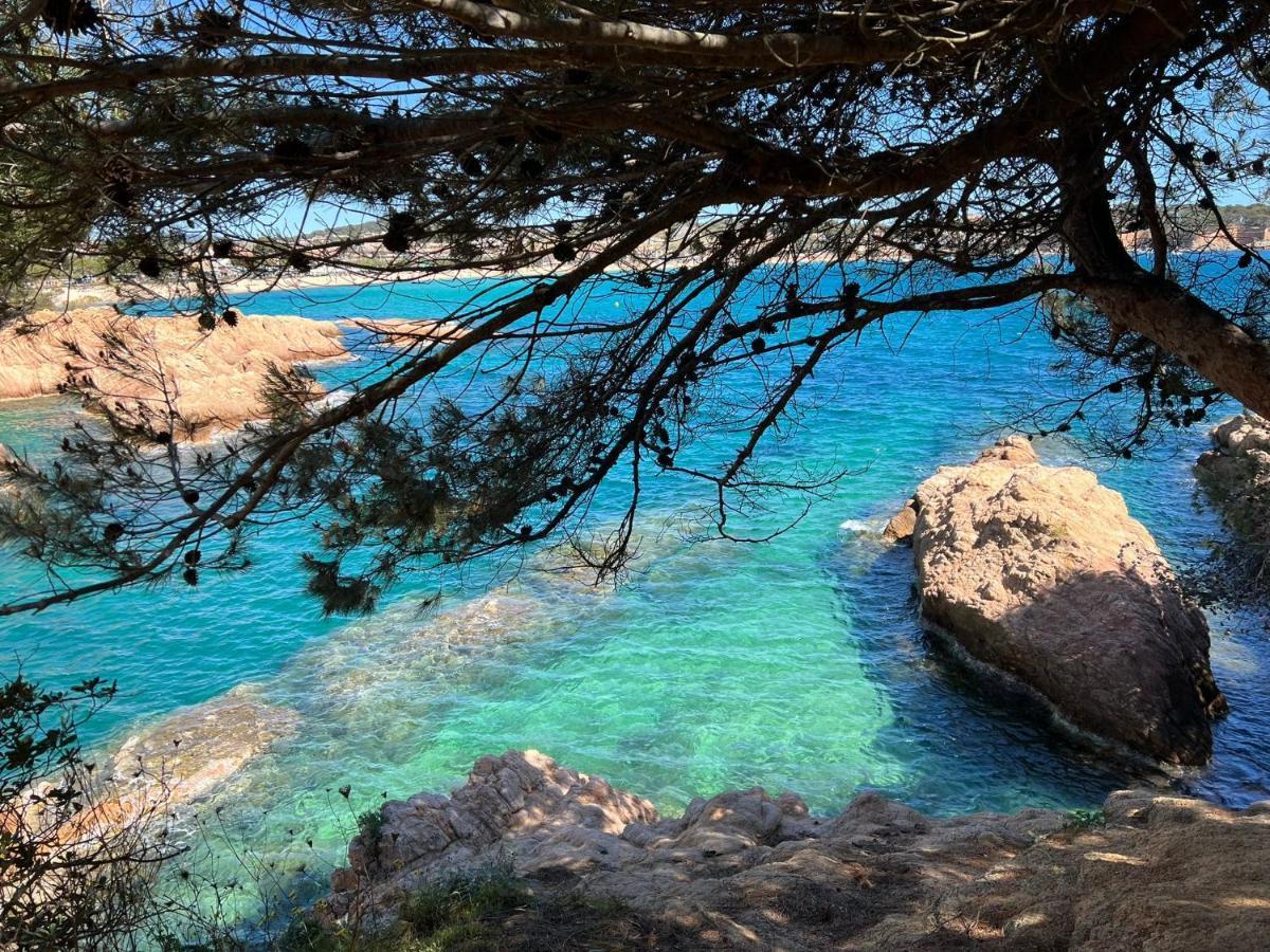 Family B&B Homefromhomees Sant Feliu de Guixols Εξωτερικό φωτογραφία